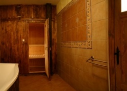 Sauna usytuowana w jednym z dwóch apartamentów/ The sauna situated in one of two our  suites